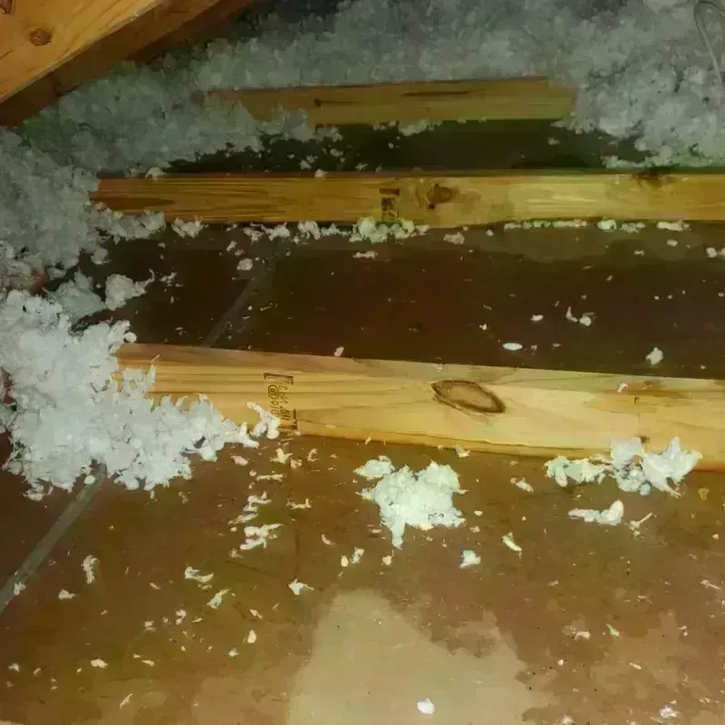 Attic Water Damage in Red Bluff, CA